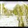 433b0ad6b779708bc6453f7abd589f24.jpg